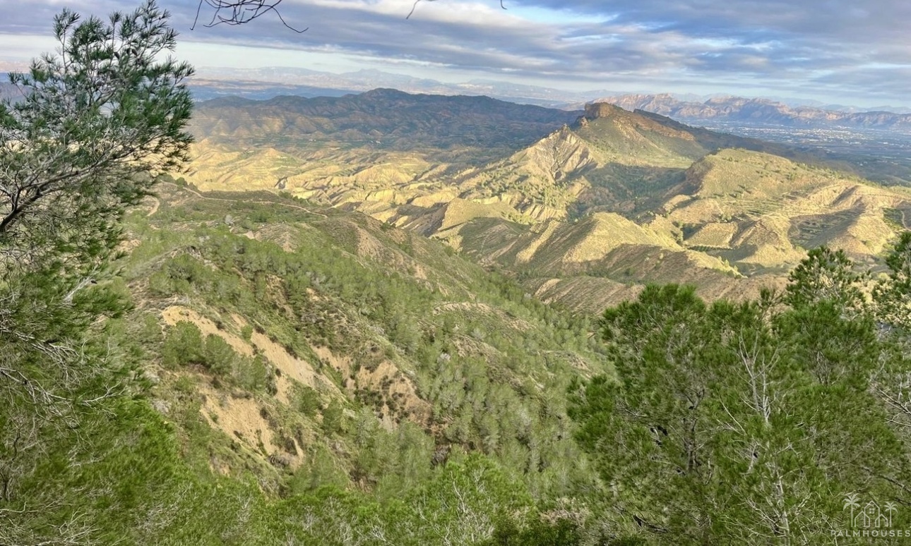 Resale - Finca - Gea Y Truyols - Sierra de Columbares Natural Park