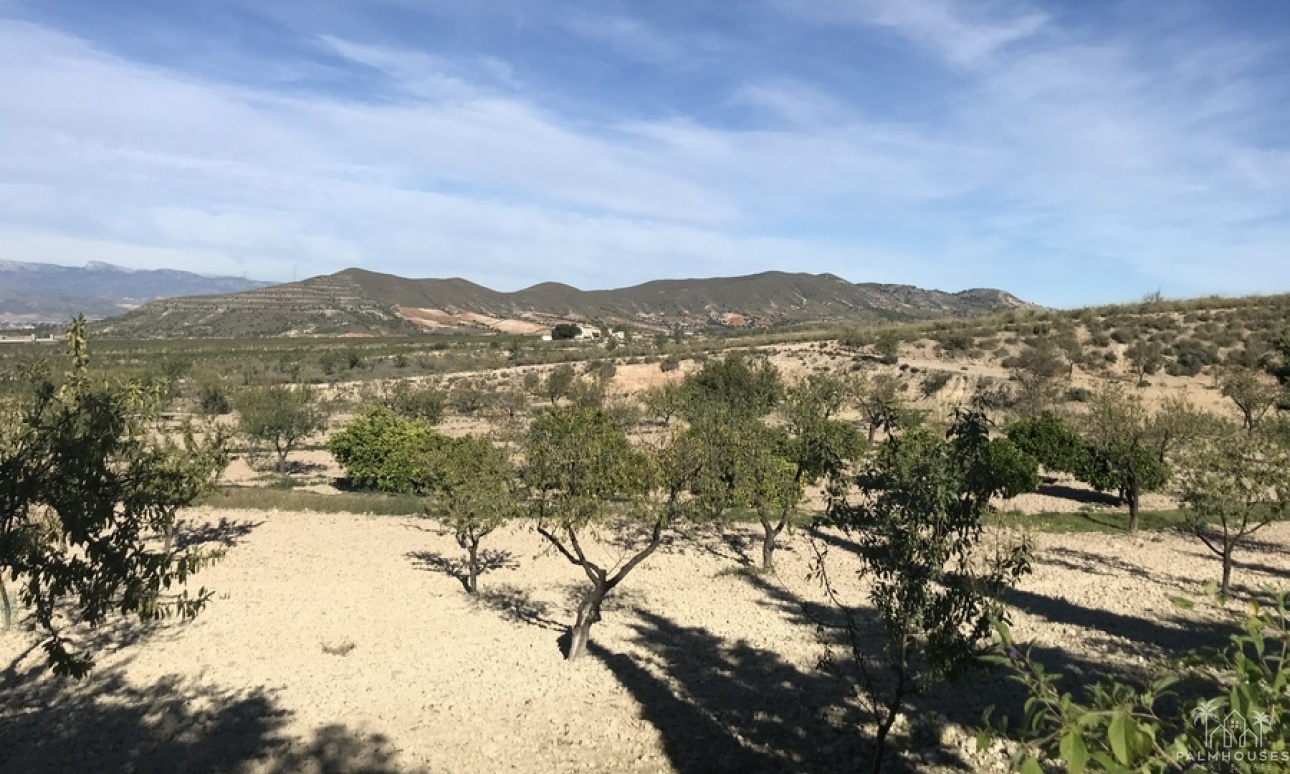 Resale - Finca - Lorca - Costa Calida