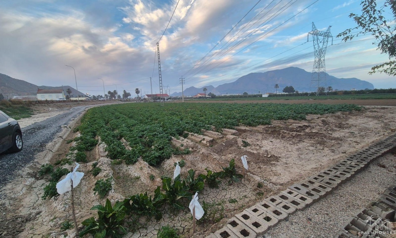 Resale - Finca - Orihuela - Casco Histórico
