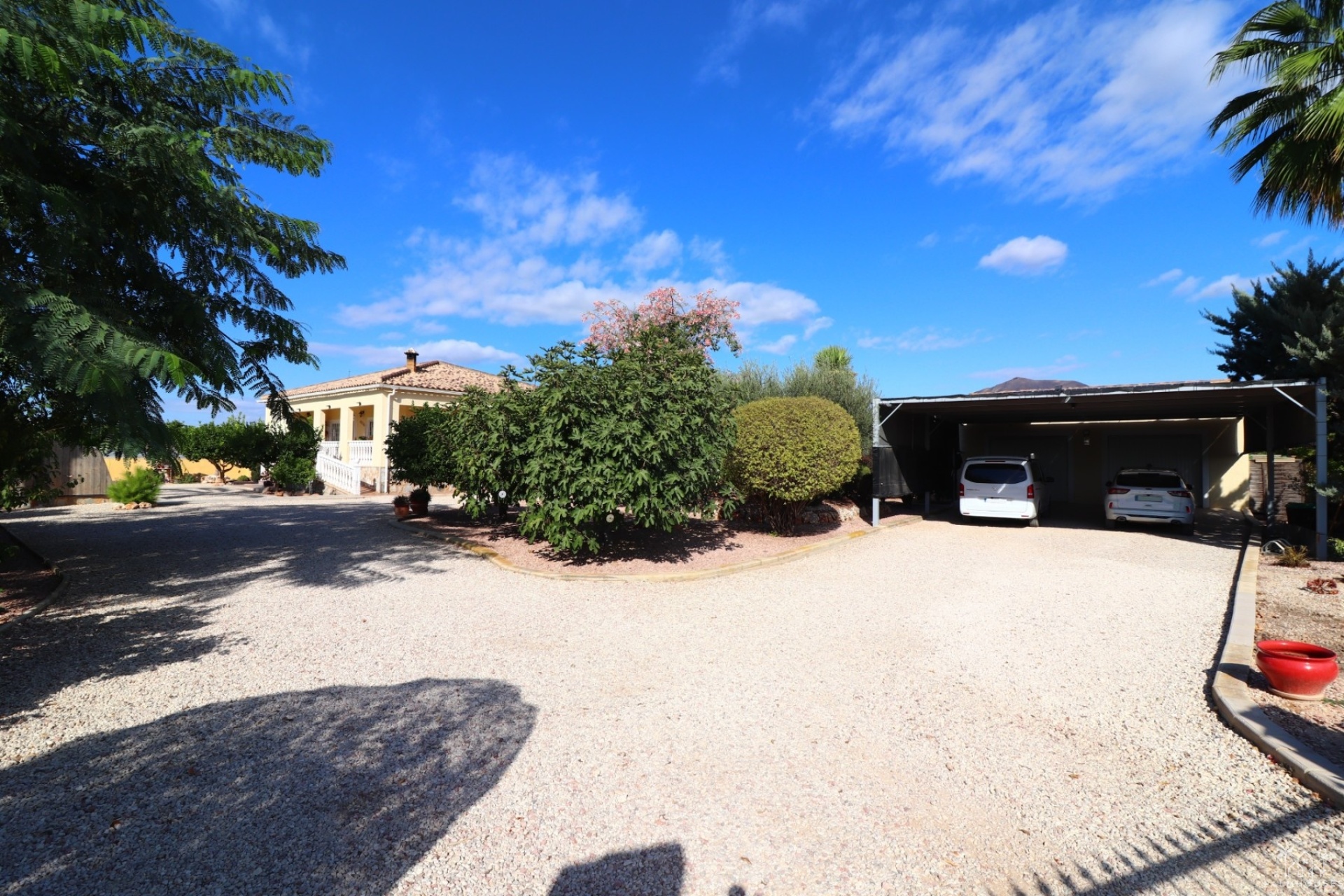 Resale - Finca - Orihuela - La Campaneta