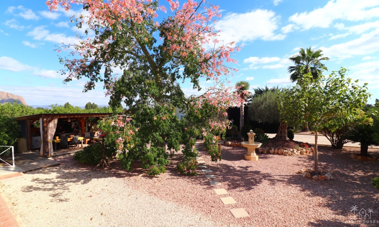 Resale - Finca - Orihuela - La Campaneta