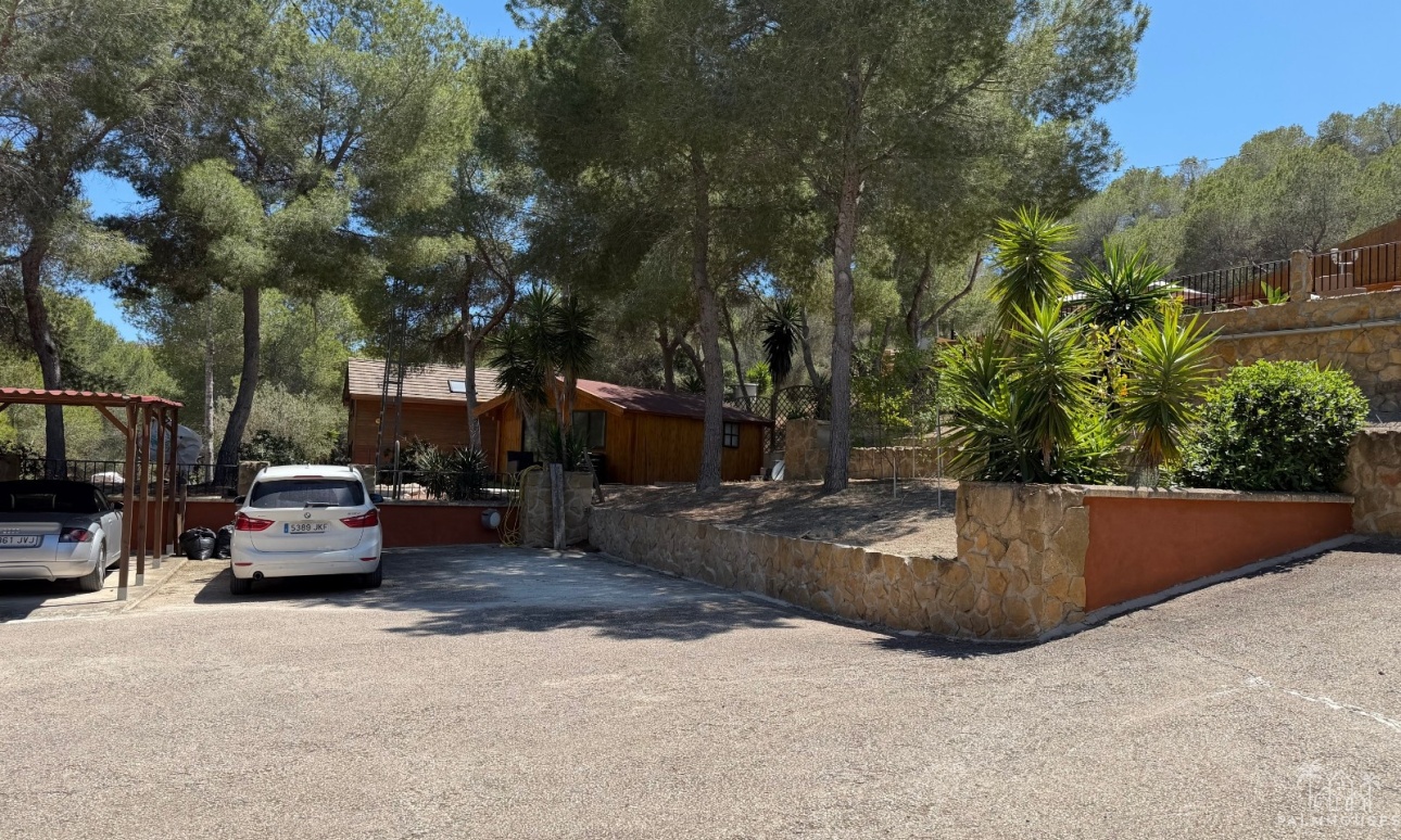 Resale - Finca - Orihuela - Torremendo