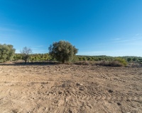 Resale - Finca - Pilar de La Horadada - Pinar de la Perdiz
