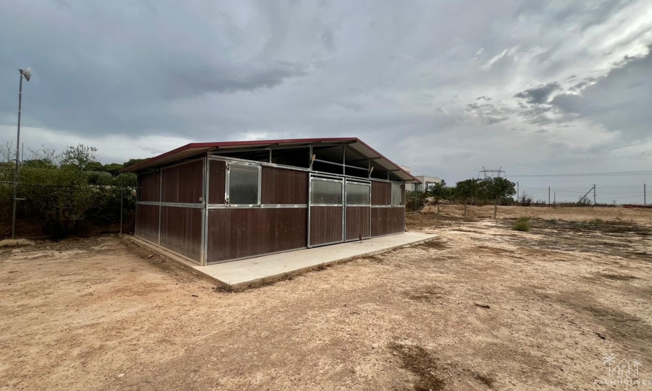 Resale - Finca - San Fulgencio - San Fulgencio - Country