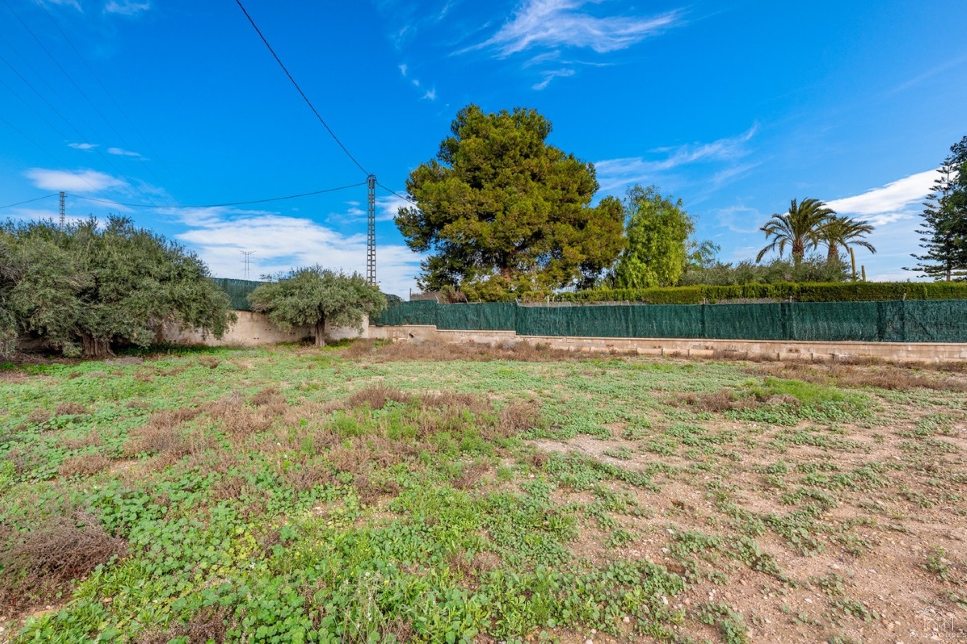 Resale - House - Elche - Elche Centro