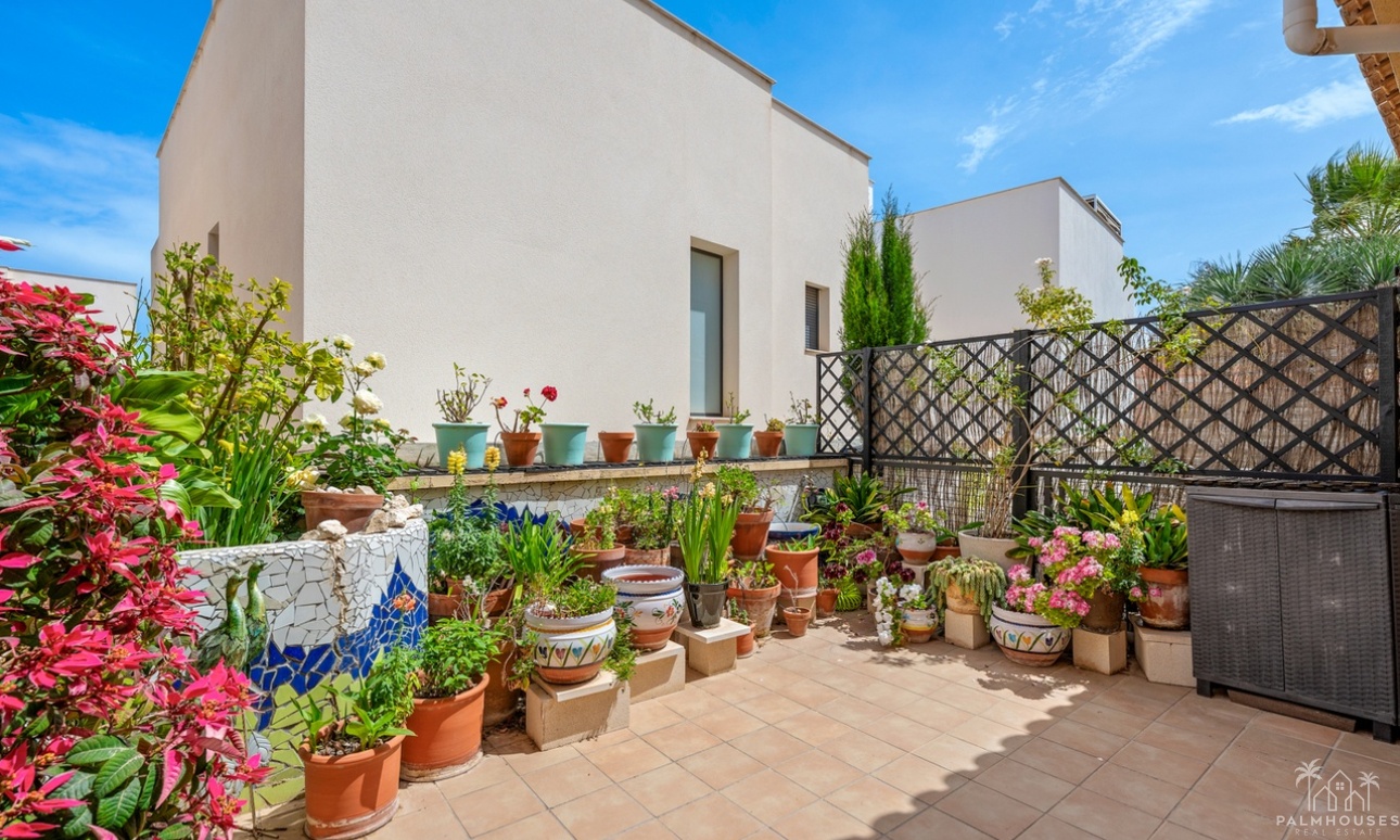 Resale - House - San Miguel de Salinas - Inland