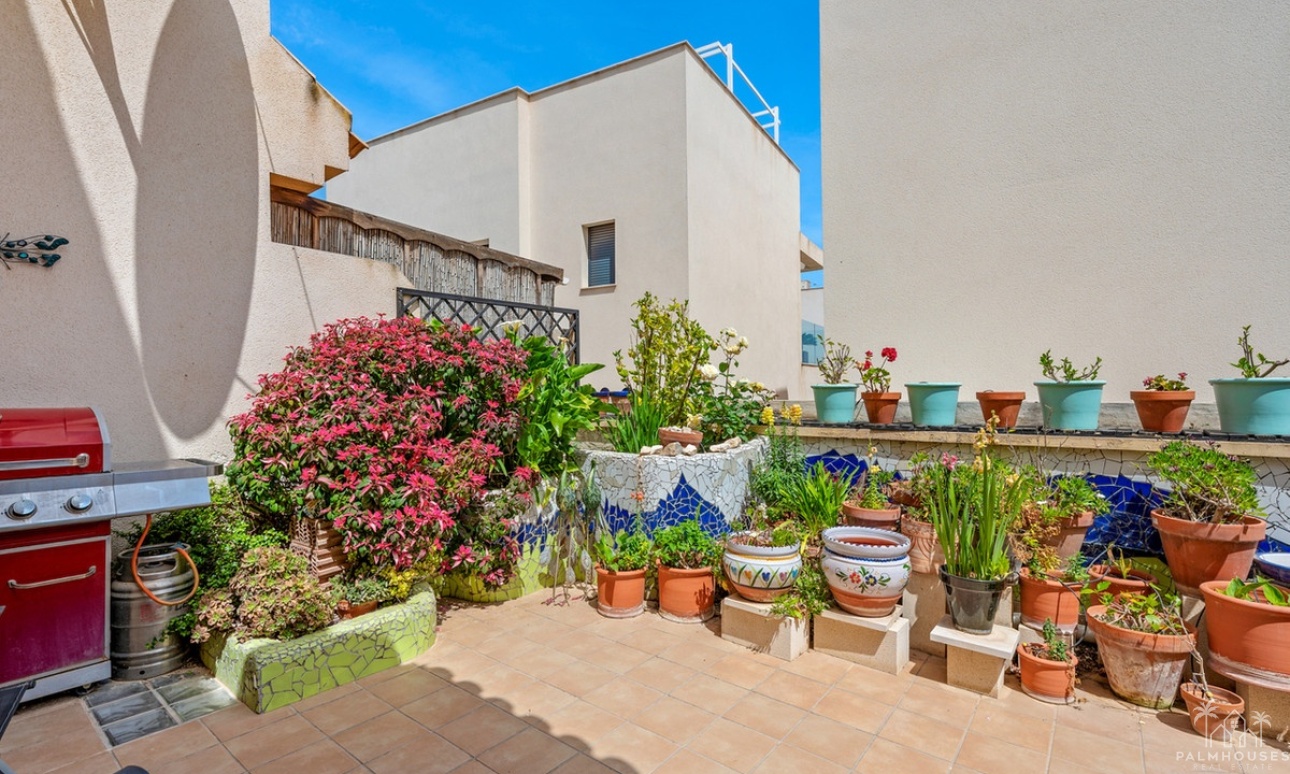 Resale - House - San Miguel de Salinas - San Miguel de Salinas Centro
