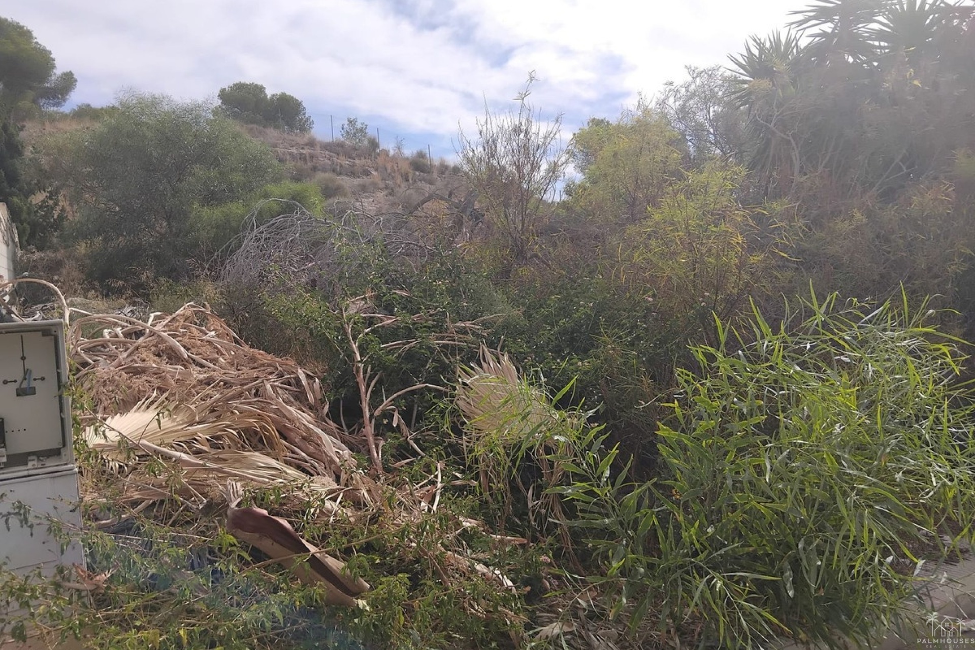 Resale - Plot - Algorfa - Algorfa Centro