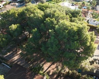 Resale - Plot - Benissa - La Cometa