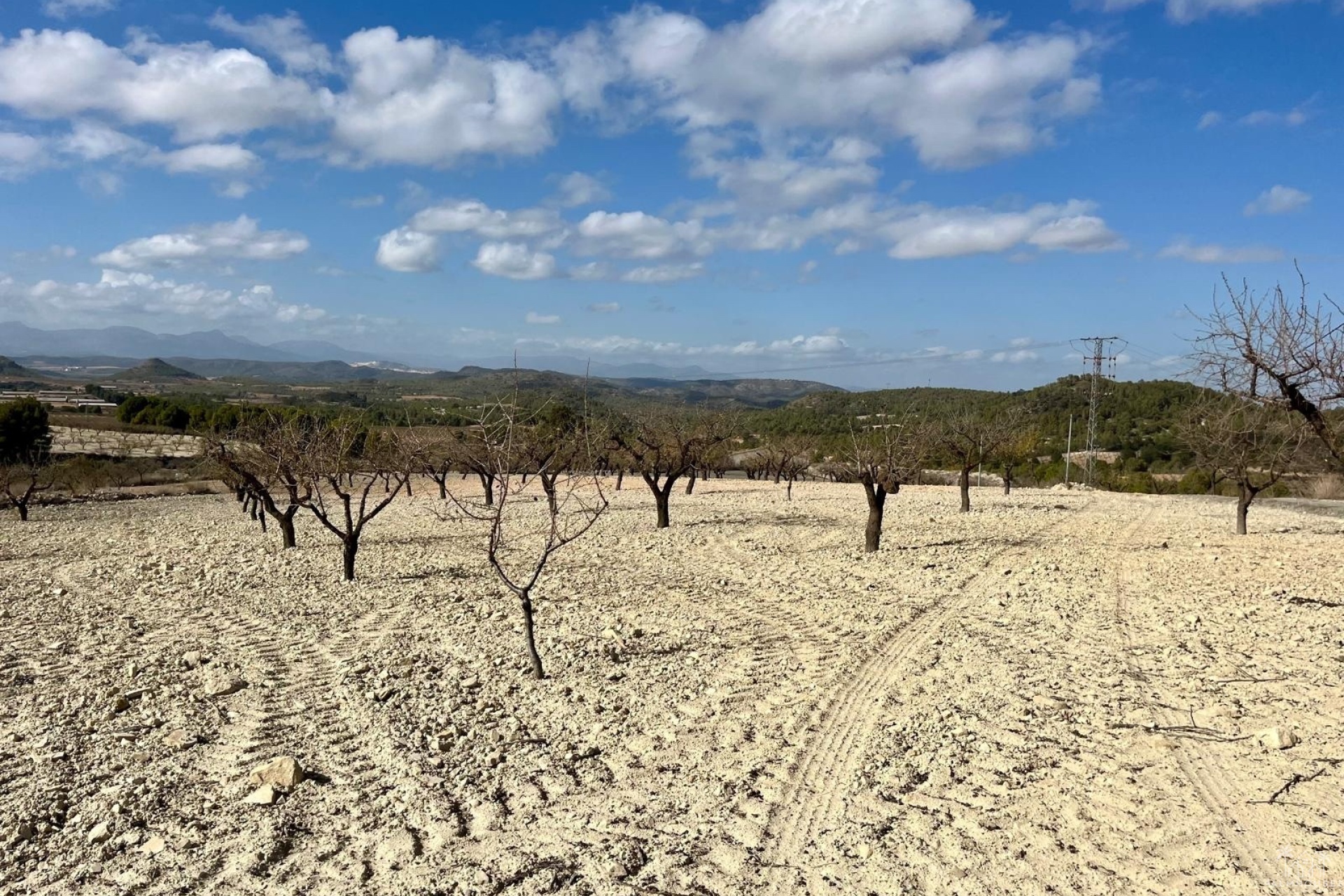 Resale - Plot - Bullas - Costa Calida