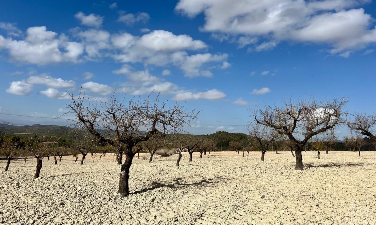 Resale - Plot - Bullas - Costa Calida