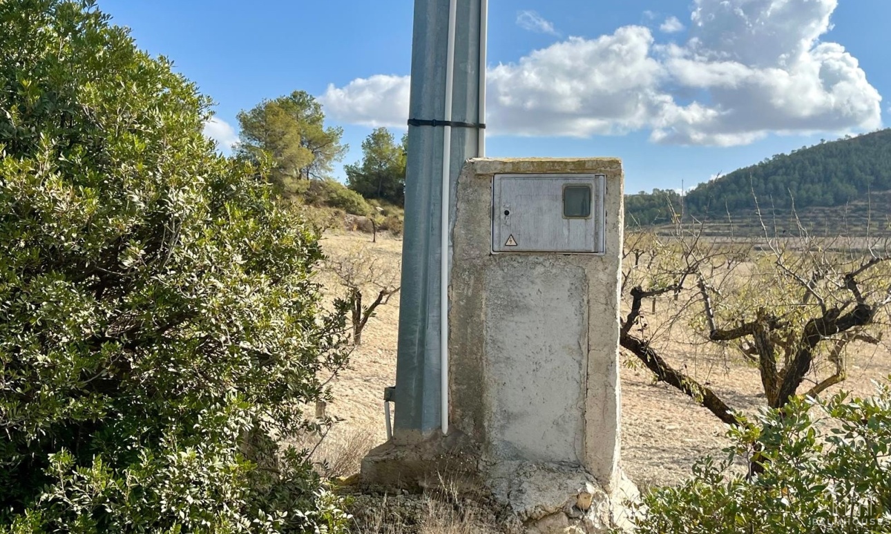 Resale - Plot - Bullas - Costa Calida