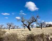 Resale - Plot - Bullas - Costa Calida