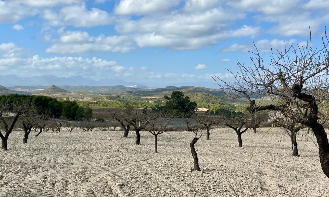 Resale - Plot - Bullas - Costa Calida