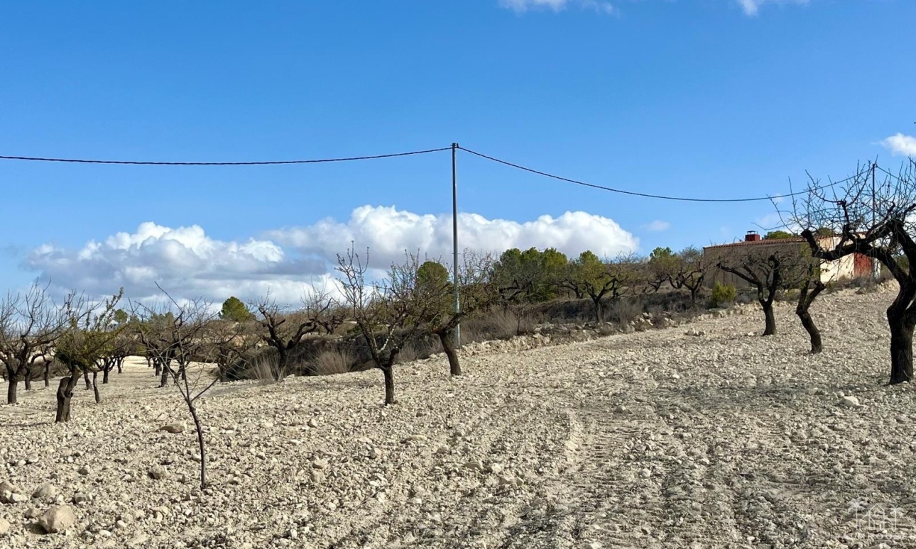 Resale - Plot - Bullas - Costa Calida
