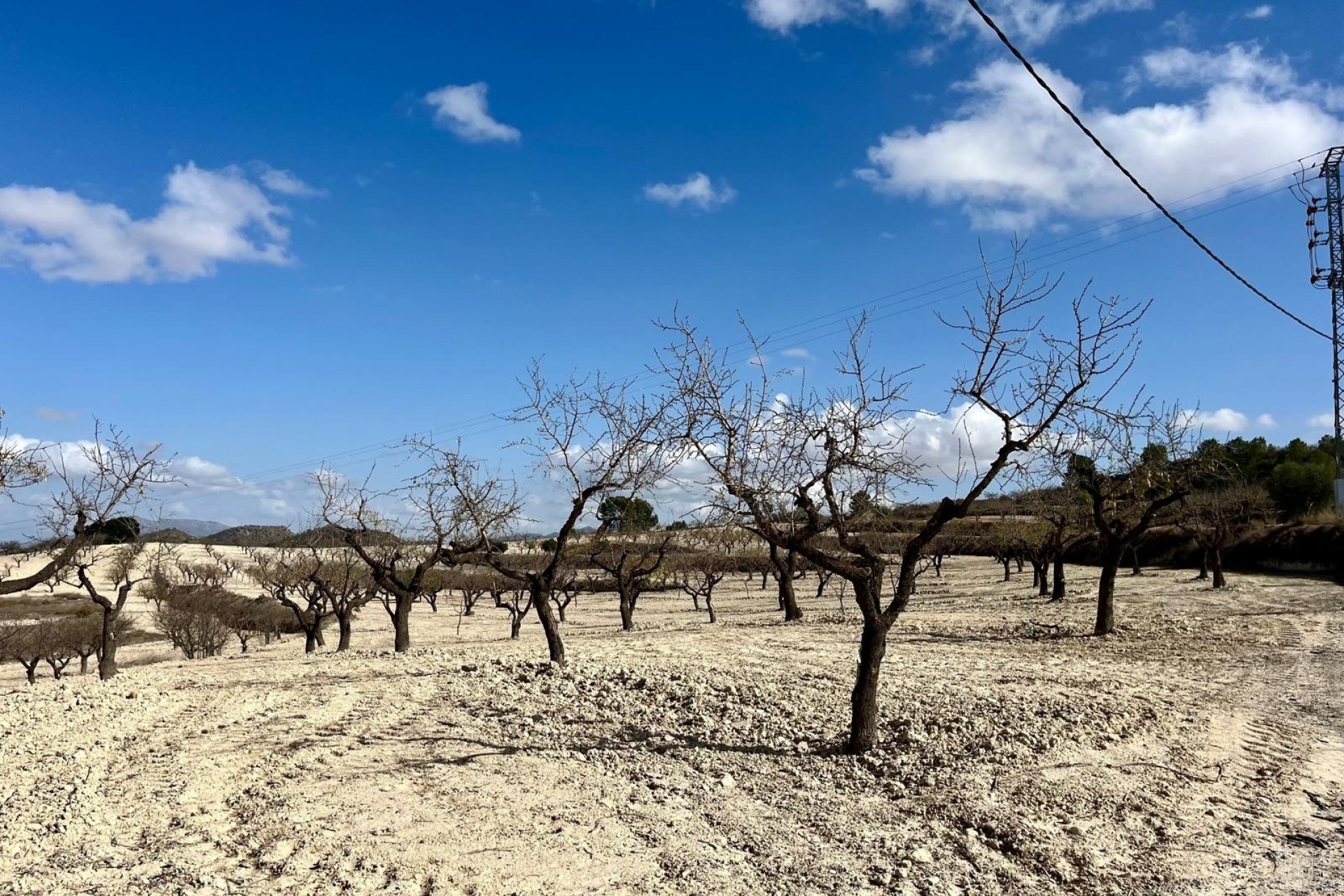 Resale - Plot - Bullas - Costa Calida
