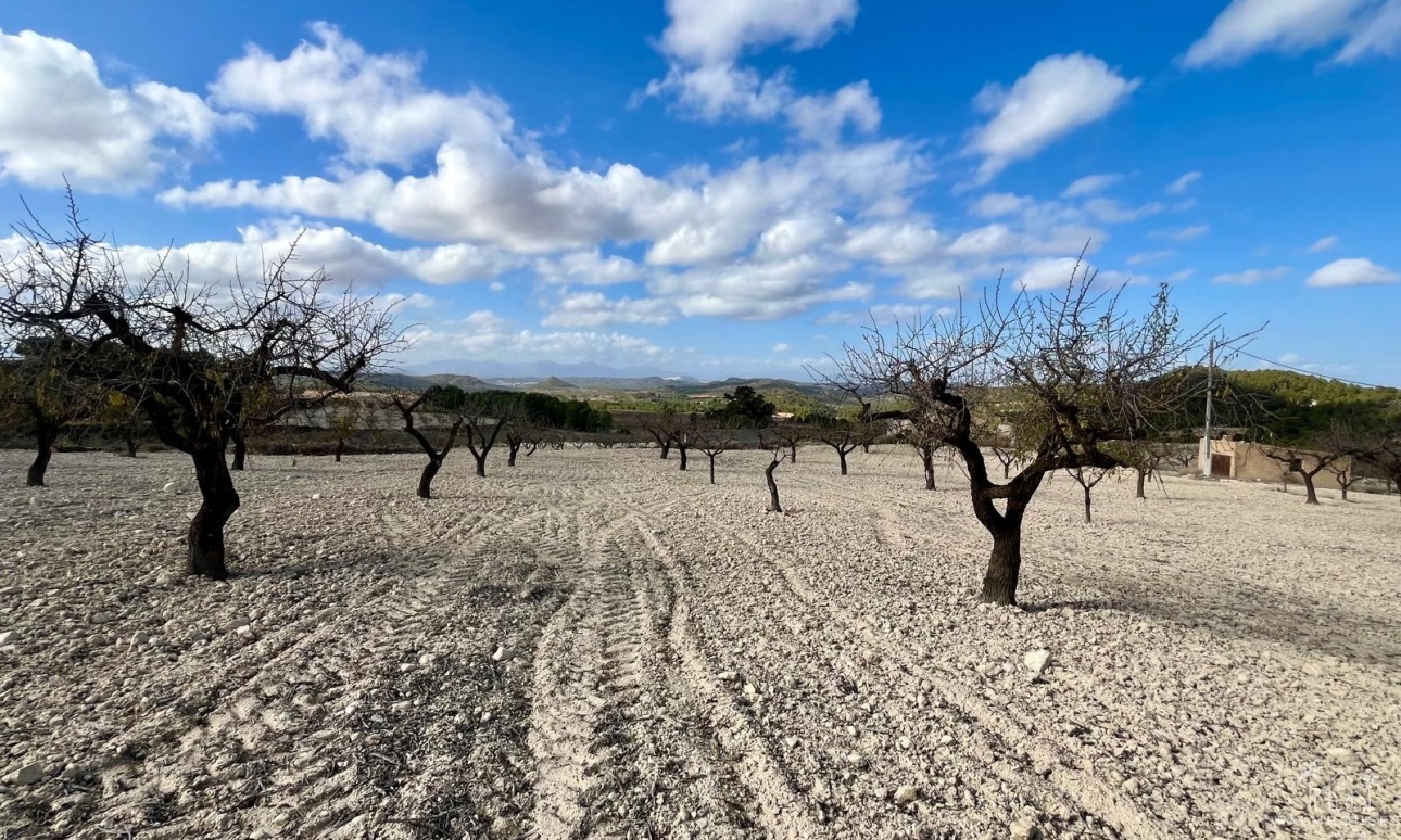Resale - Plot - Bullas - Costa Calida