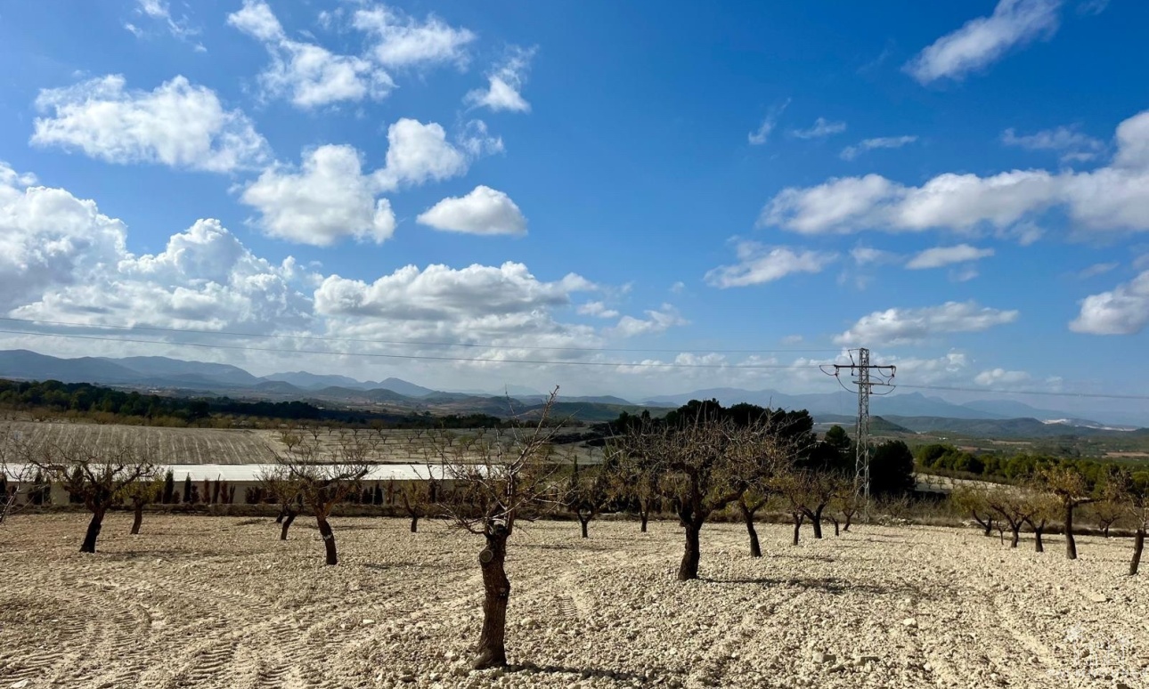 Resale - Plot - Bullas - Costa Calida