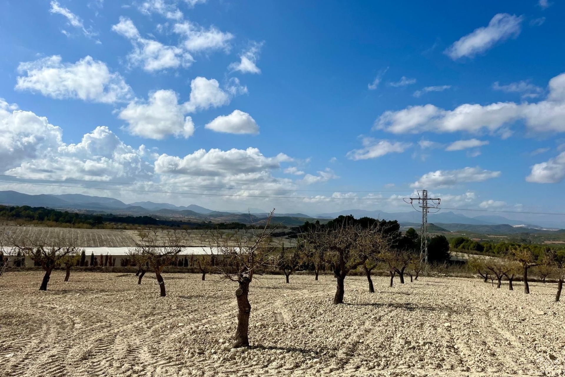 Resale - Plot - Bullas - Costa Calida