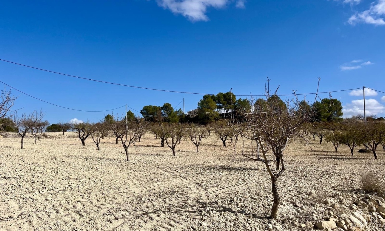 Resale - Plot - Bullas - Costa Calida