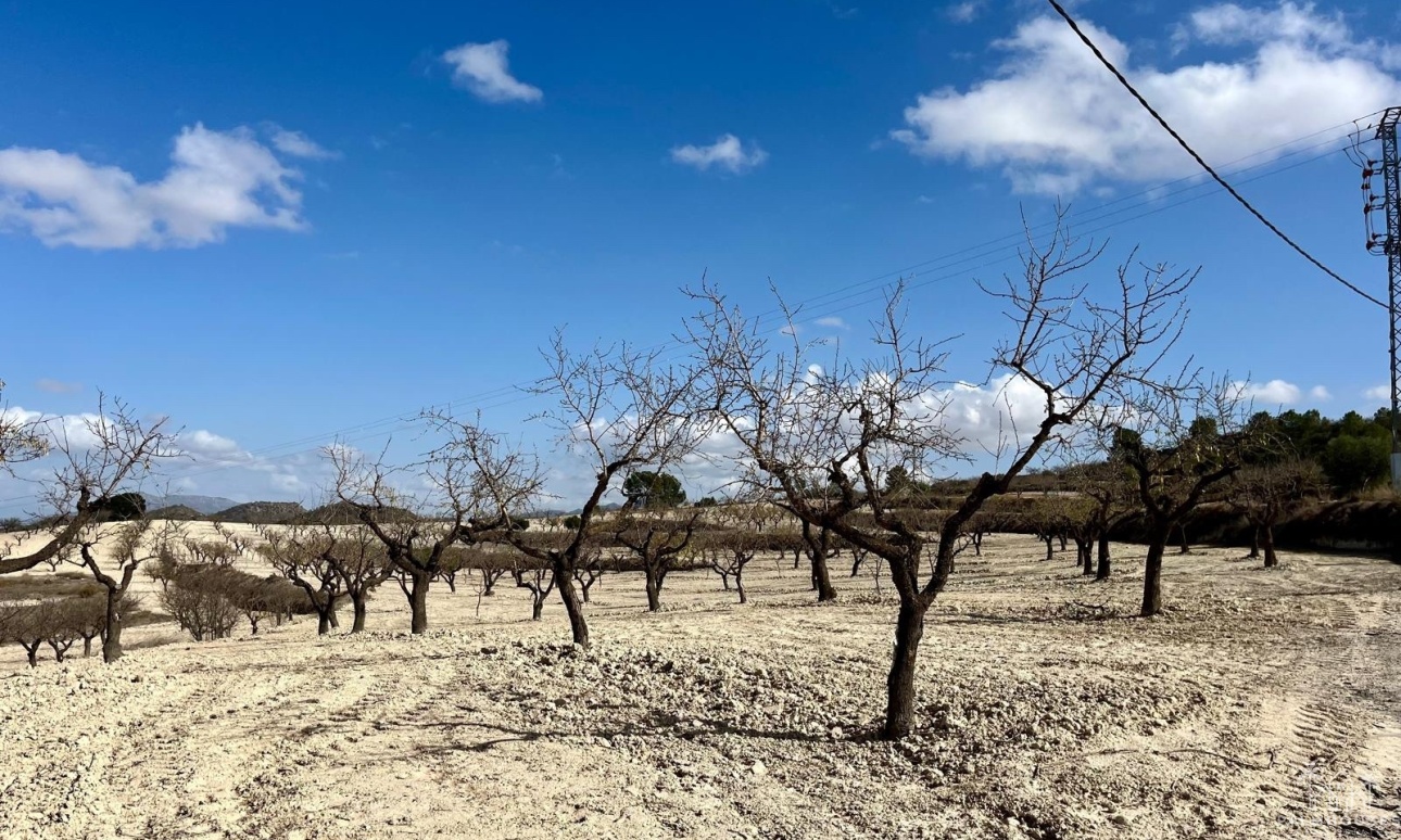 Resale - Plot - Bullas - Costa Calida