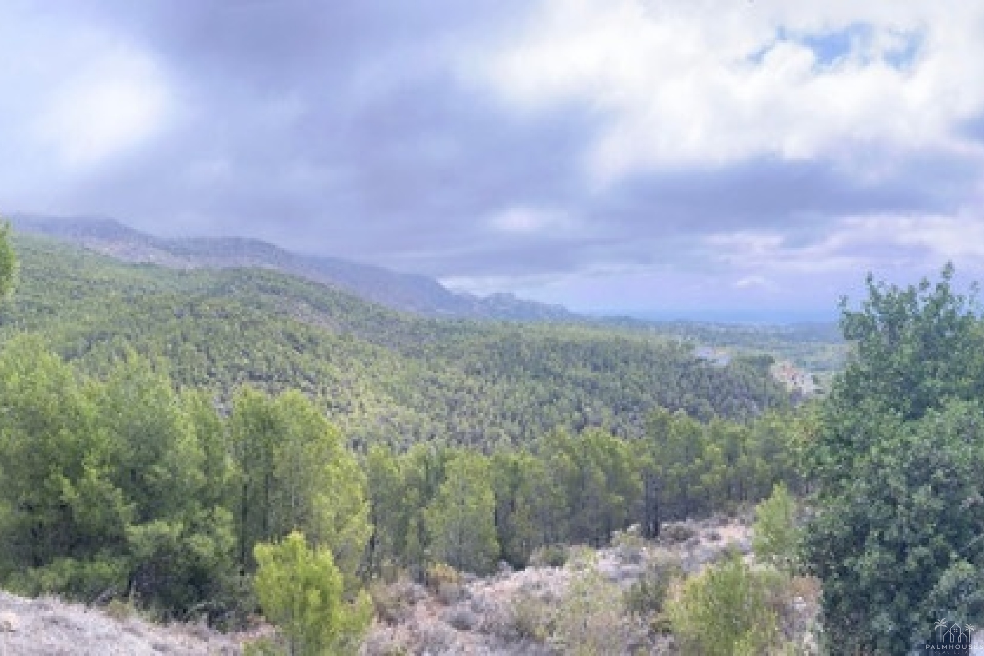 Resale - Plot - Callosa d'en Sarria - Callosa d'en Sarria Centro