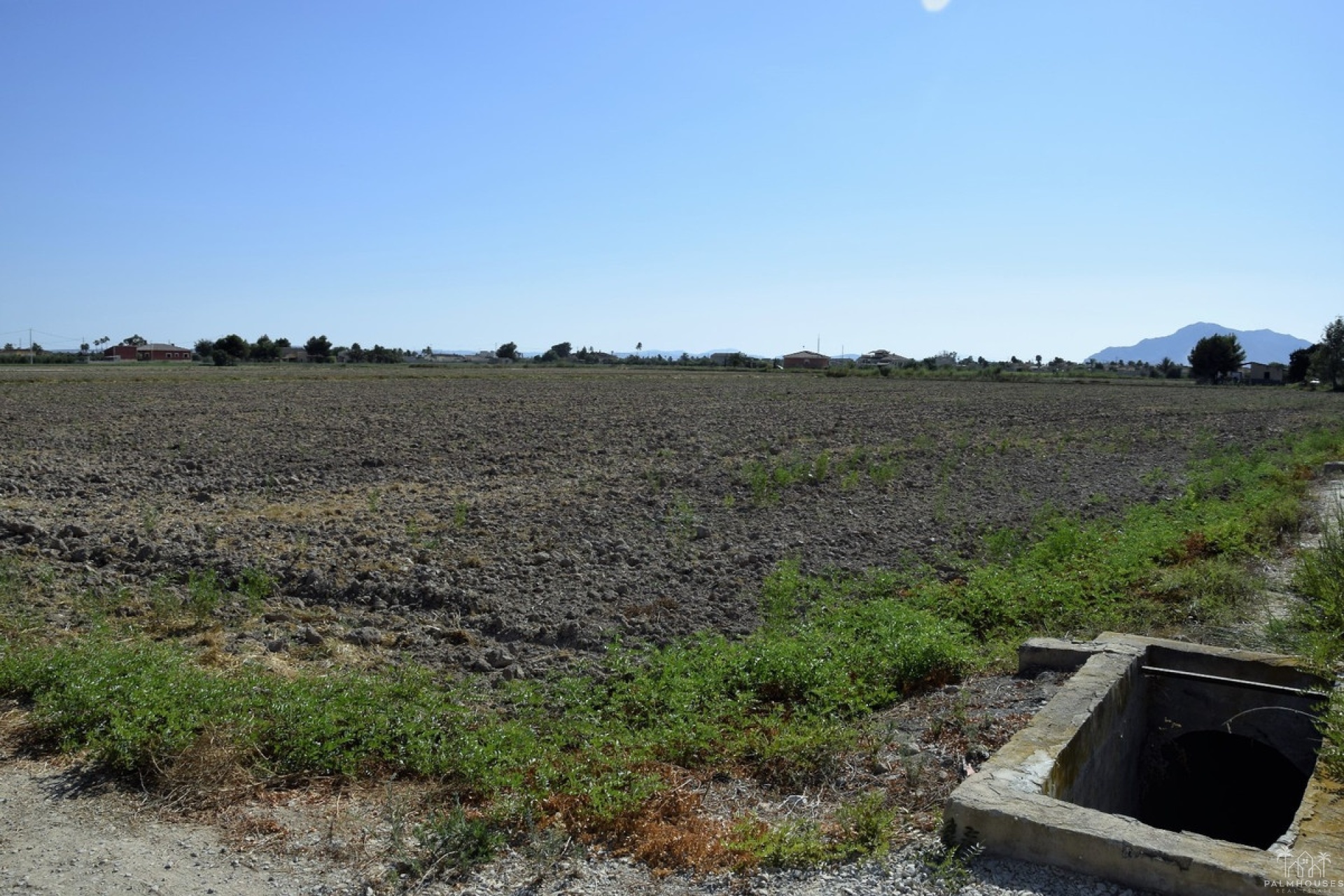 Resale - Plot - Catral - Catral Centro