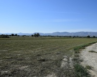 Resale - Plot - Catral - Catral Centro