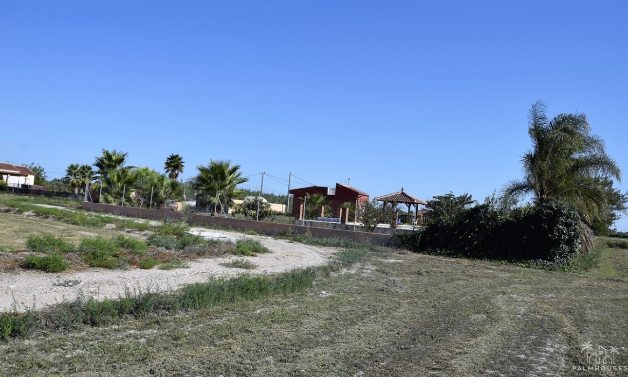 Resale - Plot - Catral - Catral Centro