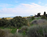 Resale - Plot - Guardamar del Segura - Guardamar del Segura Centro