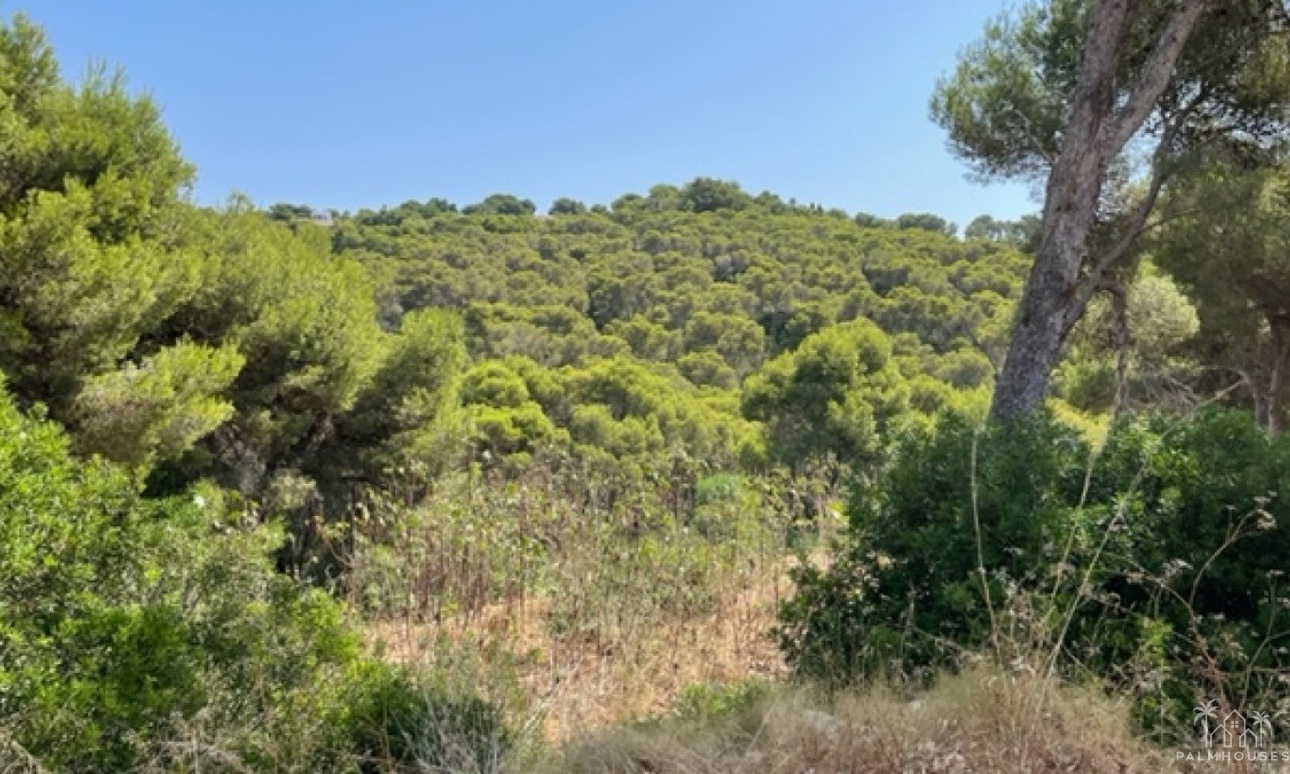 Resale - Plot - Jávea - Xàbia - Jávea - Xàbia Centro