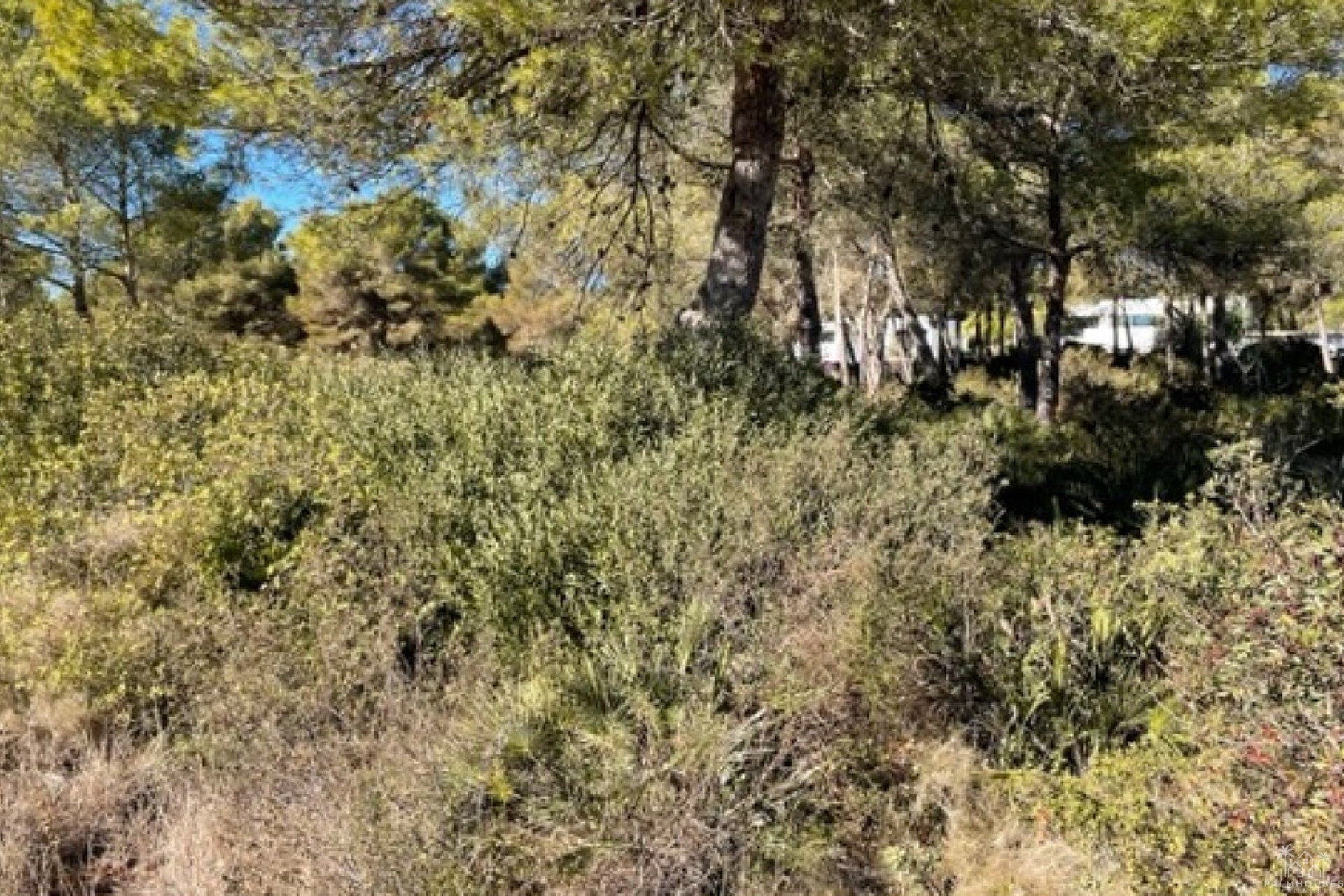 Resale - Plot - Jávea - Xàbia - Jávea - Xàbia Centro