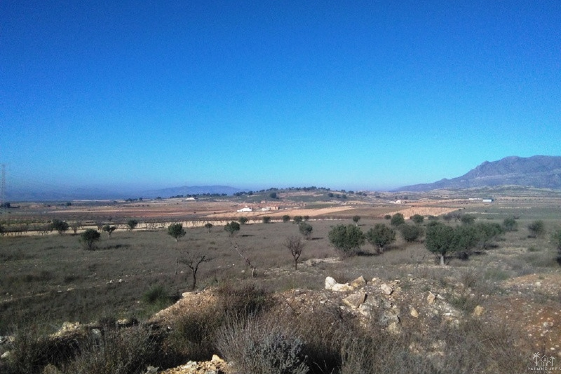 Resale - Plot - Jumilla - Torre Del Rico