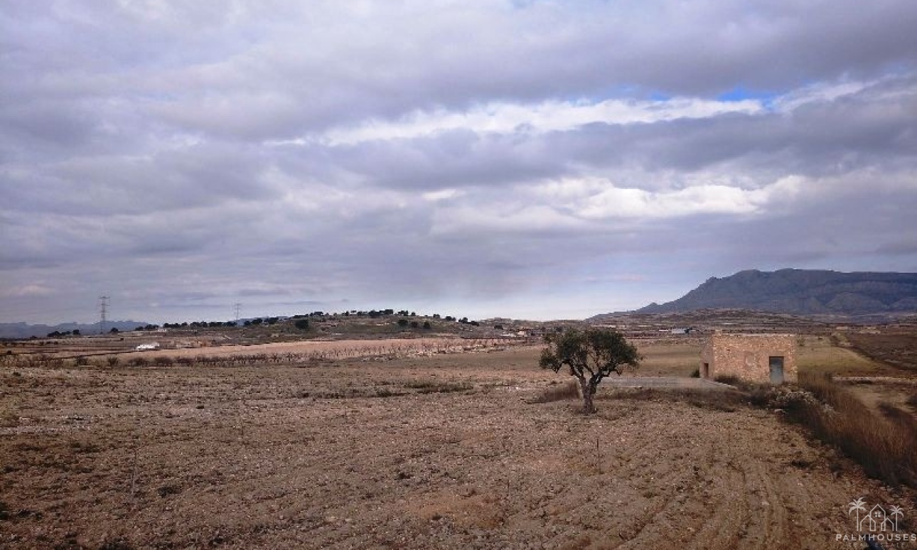 Resale - Plot - Jumilla - Torre Del Rico