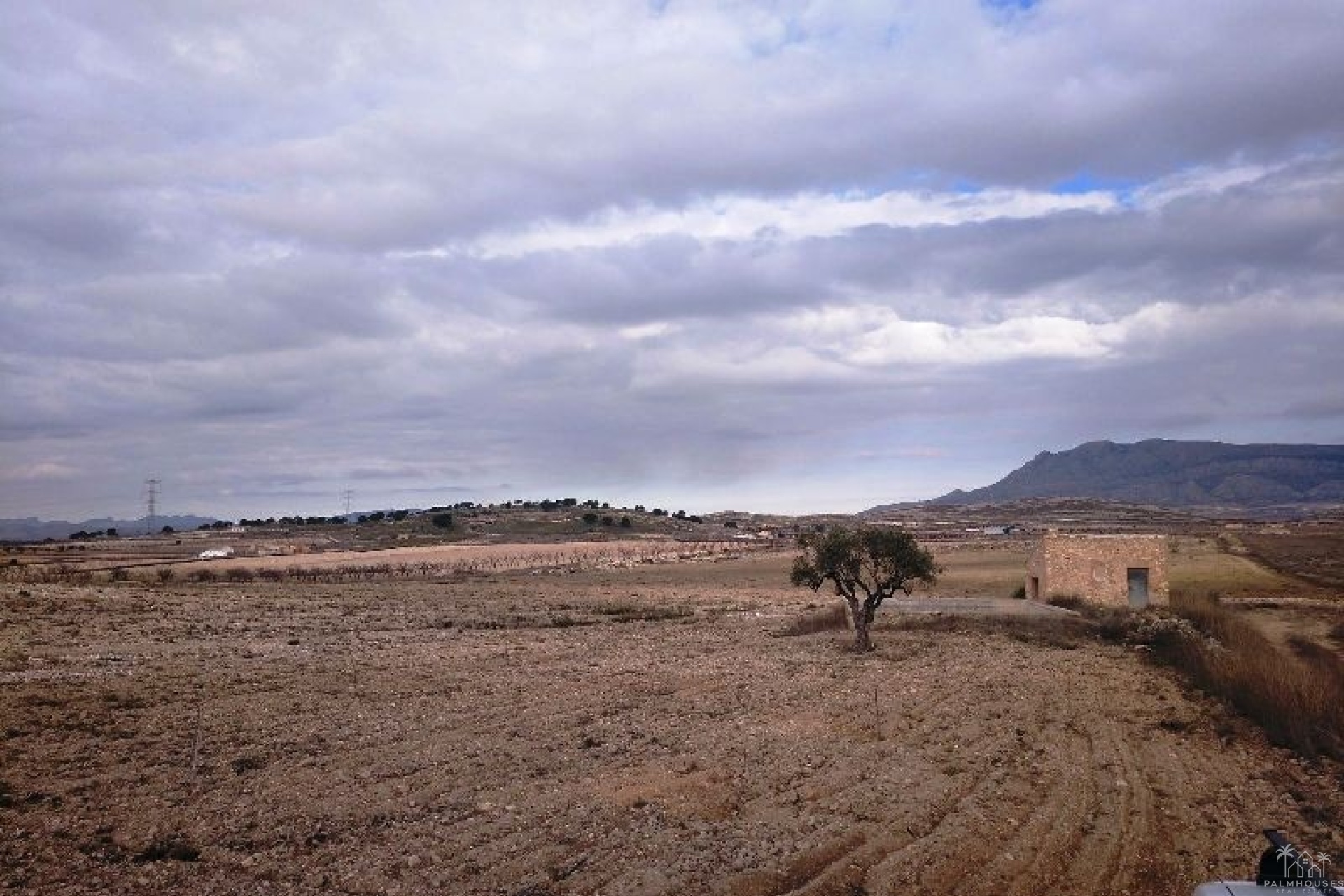 Resale - Plot - Jumilla - Torre Del Rico