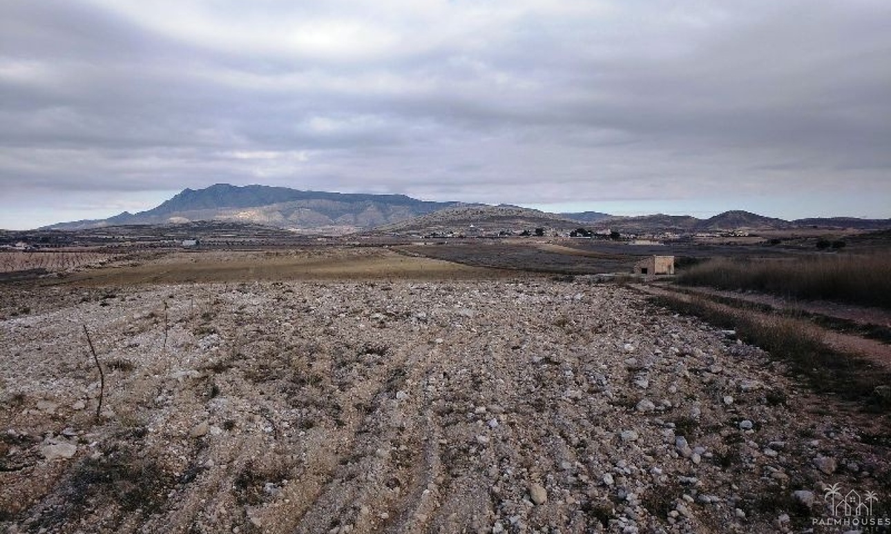 Resale - Plot - Jumilla - Torre Del Rico
