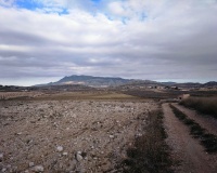 Resale - Plot - Jumilla - Torre Del Rico