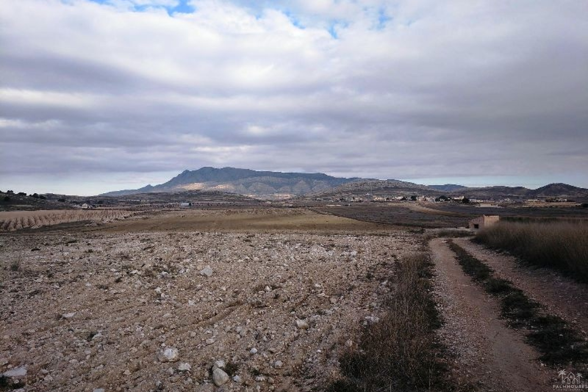Resale - Plot - Jumilla - Torre Del Rico