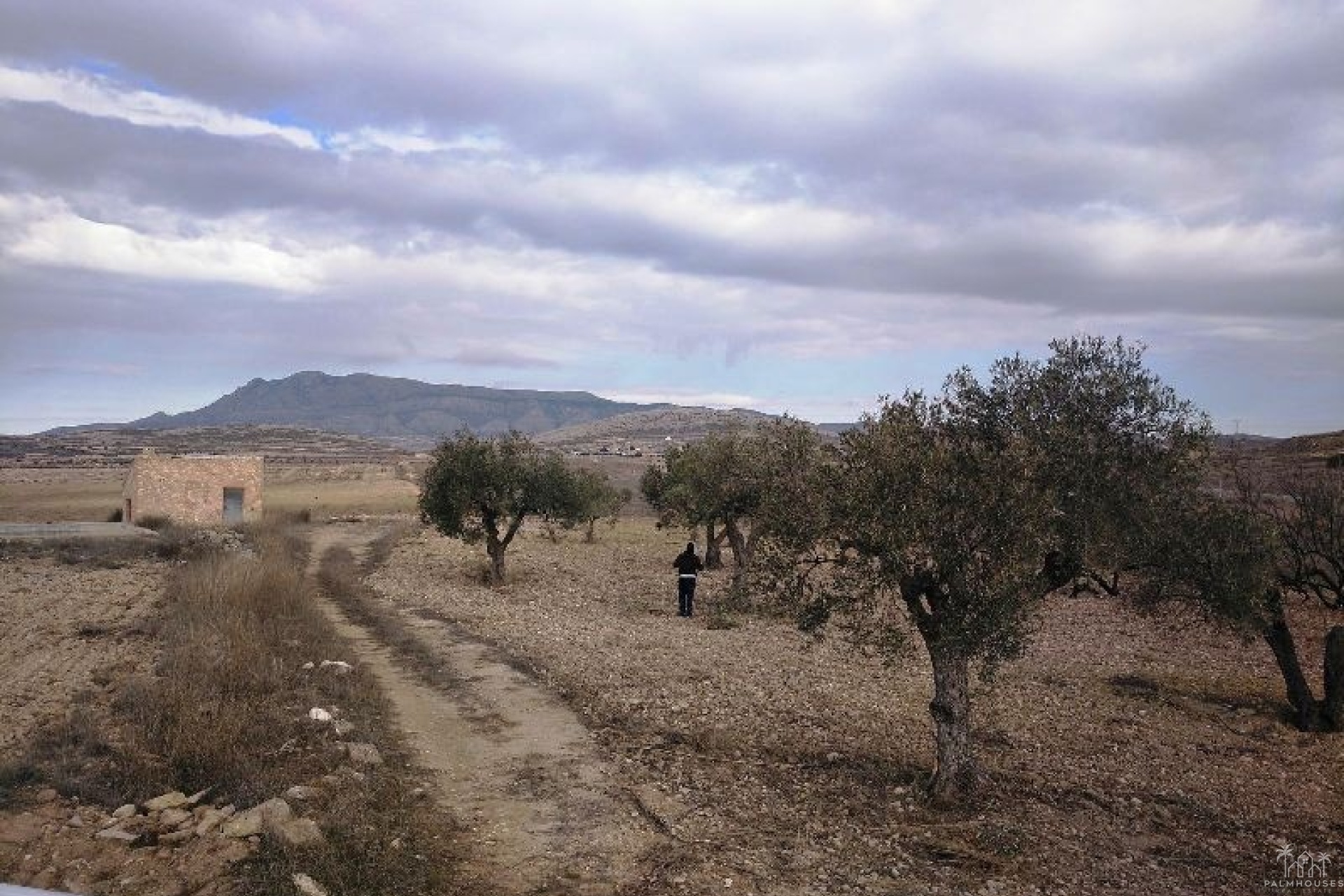 Resale - Plot - Jumilla - Torre Del Rico