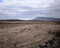 Resale - Plot - Jumilla - Torre Del Rico