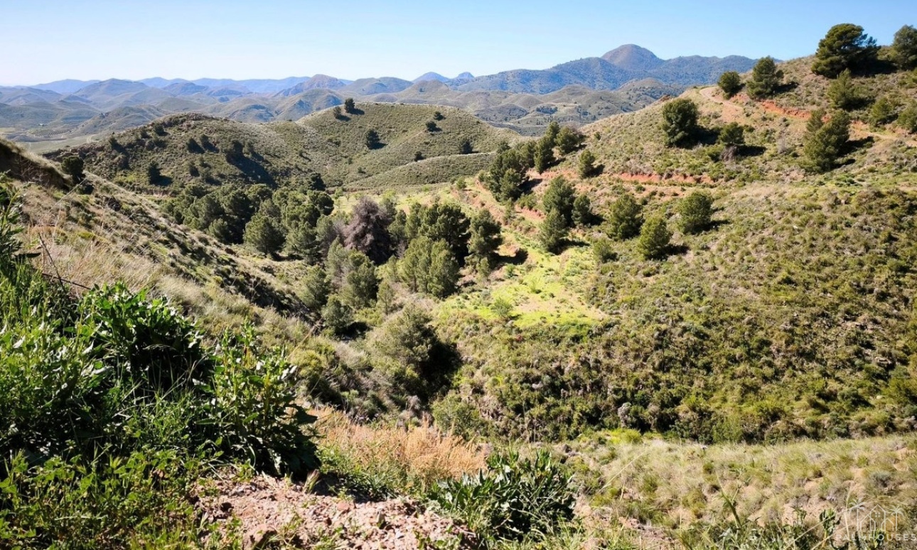 Resale - Plot - Lorca - Lorca Centro