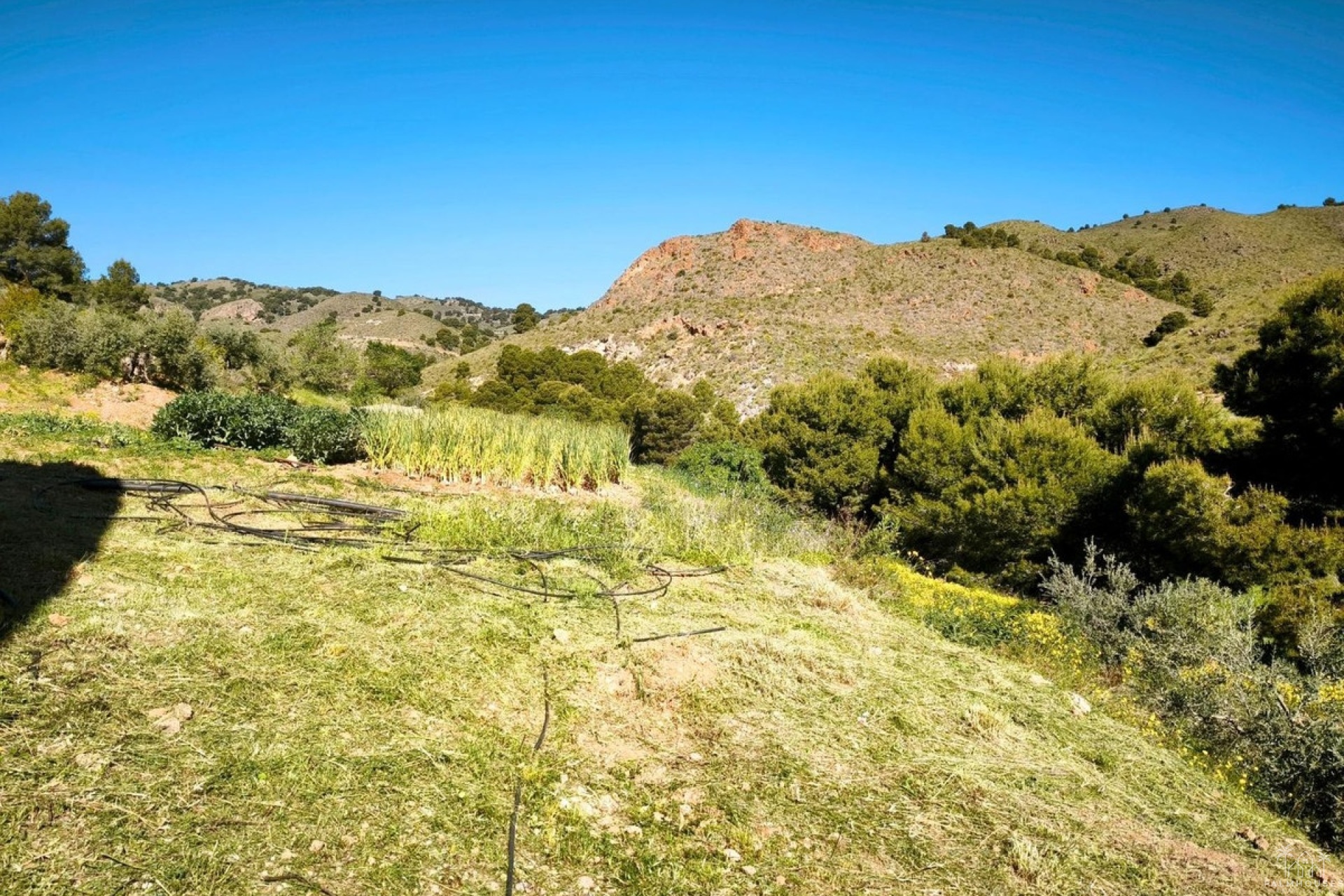 Resale - Plot - Lorca - Lorca Centro