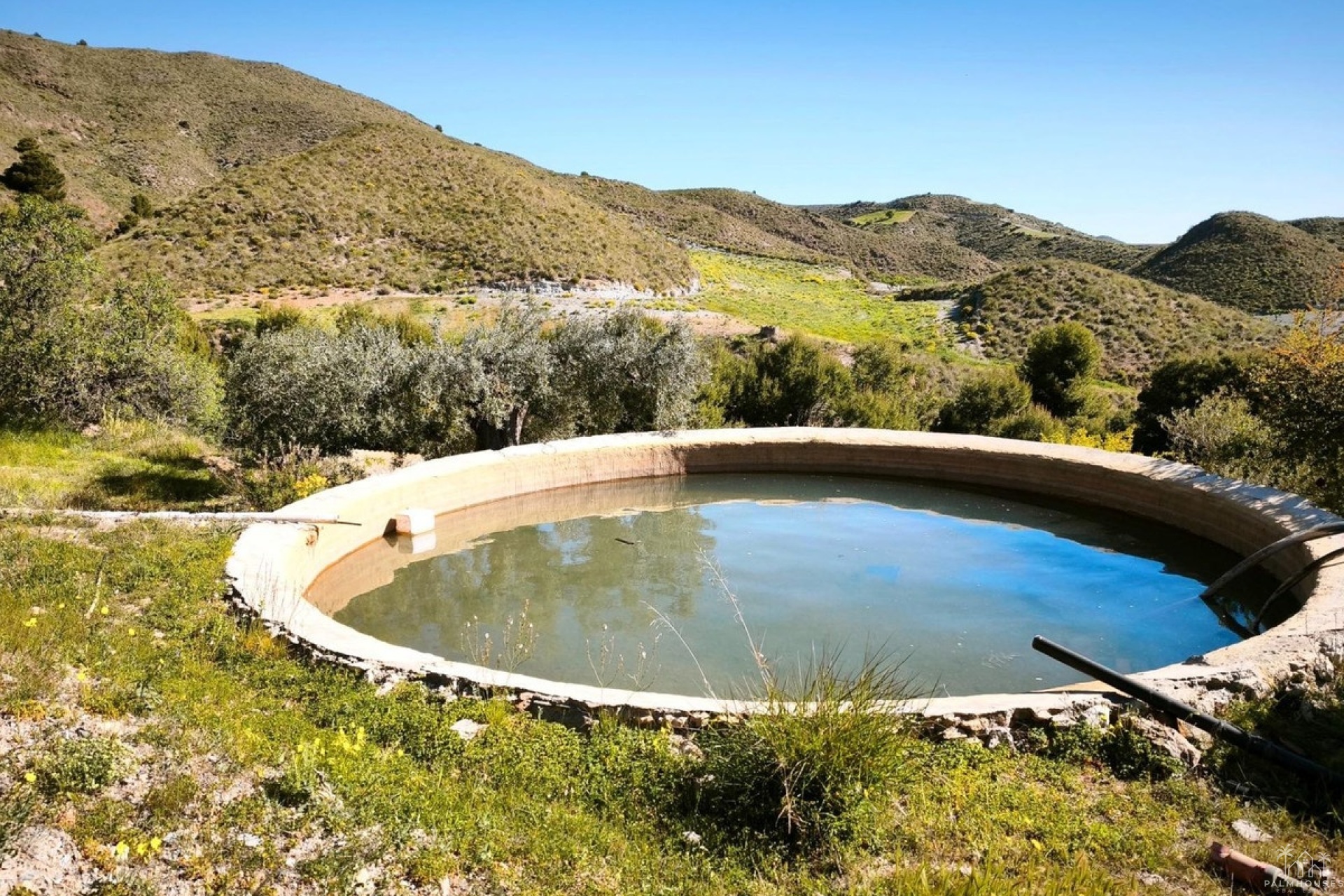 Resale - Plot - Lorca - Lorca Centro