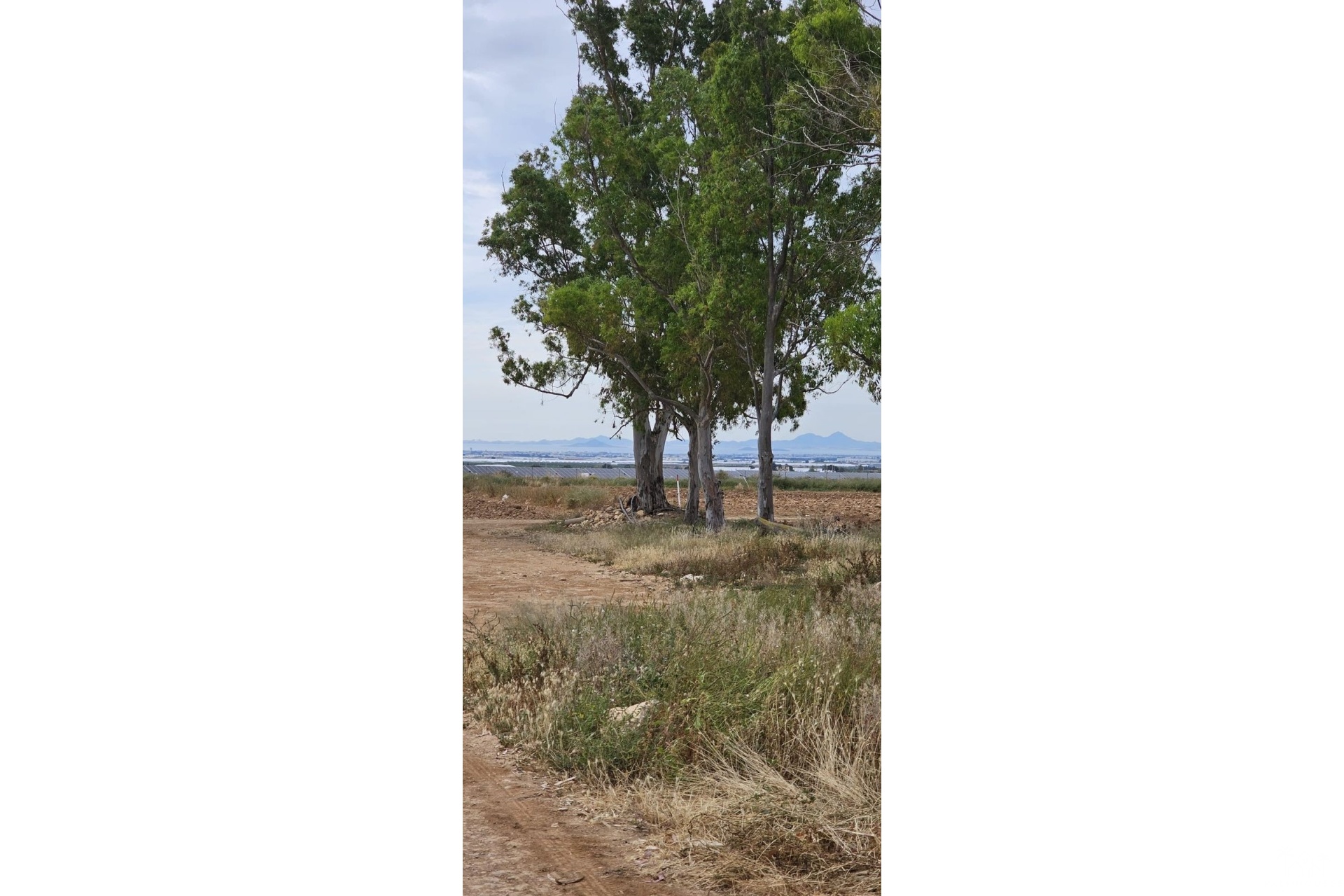 Resale - Plot - Murcia - Sucina