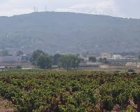Resale - Plot - Pinoso - Pinoso Centro