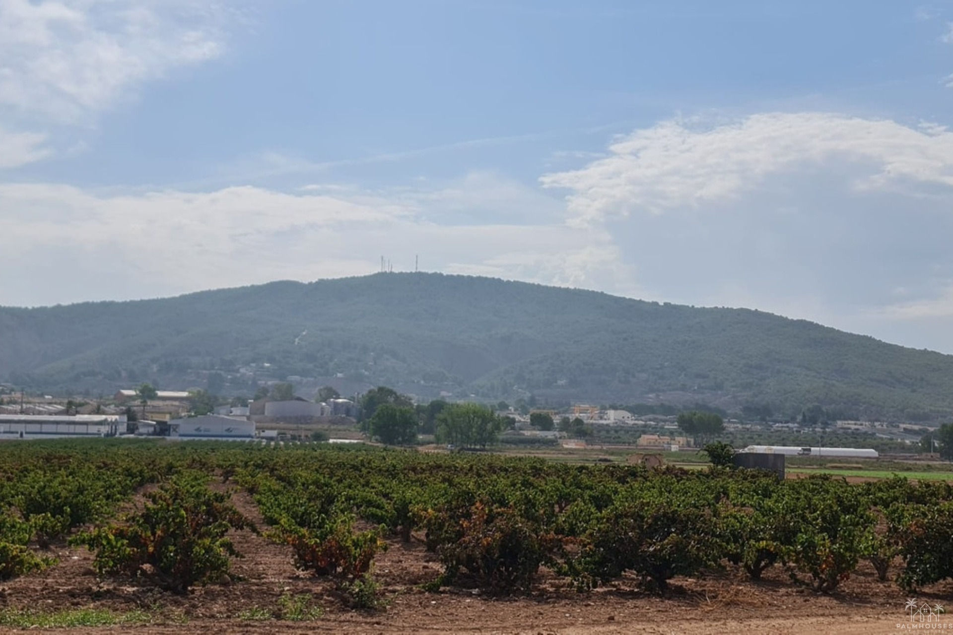 Resale - Plot - Pinoso - Pinoso Centro
