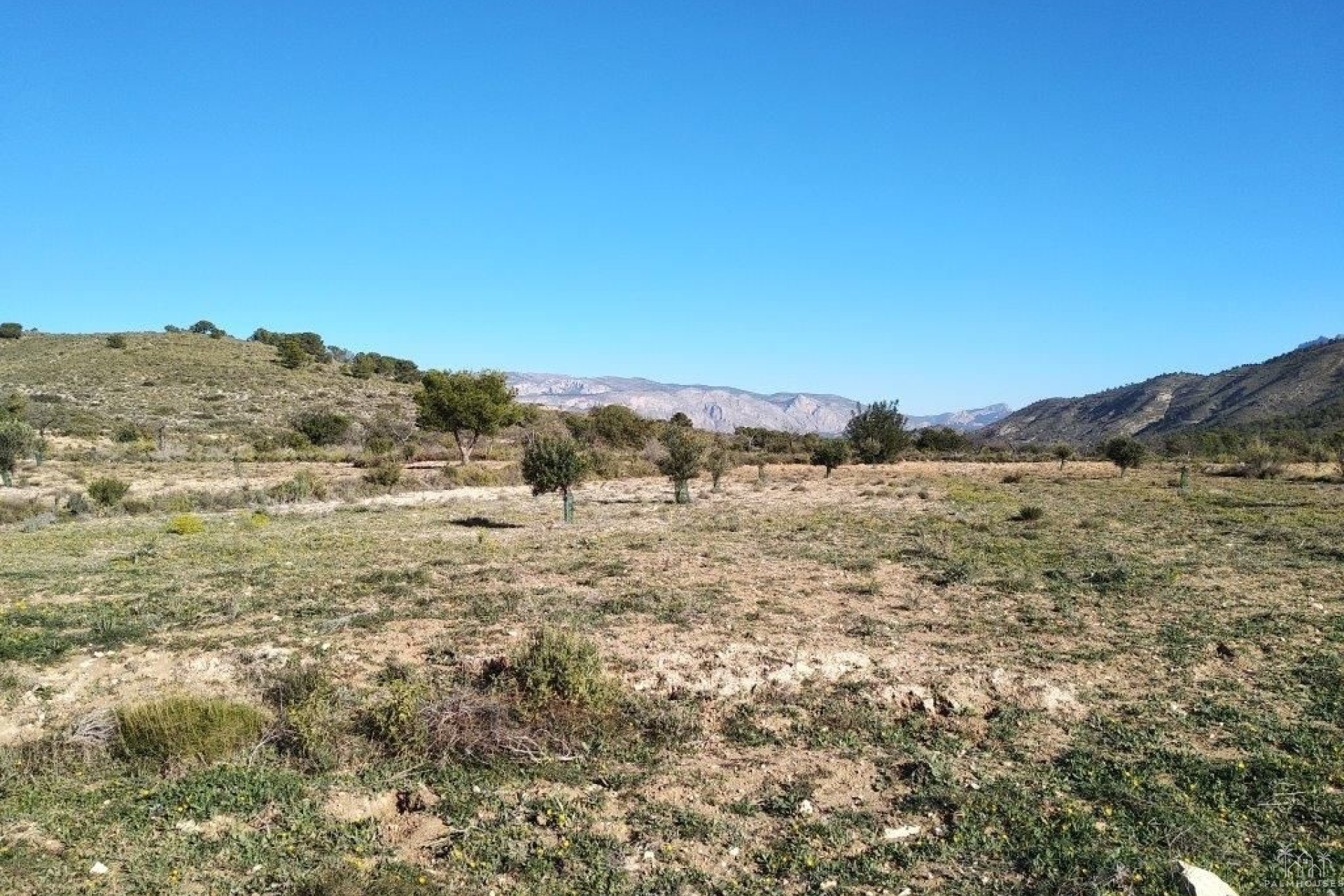 Resale - Plot - Relleu - Relleu Centro