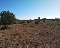 Resale - Plot - Relleu - Relleu Centro