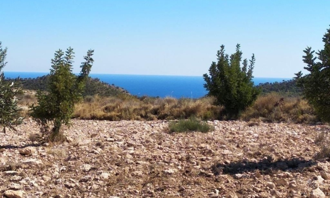 Resale - Plot - Relleu - Relleu Centro