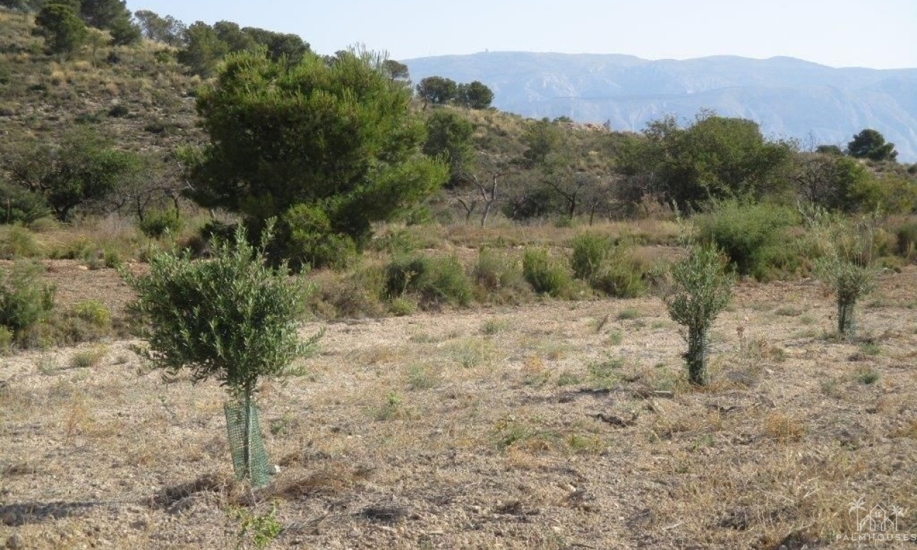Resale - Plot - Relleu - Relleu Centro